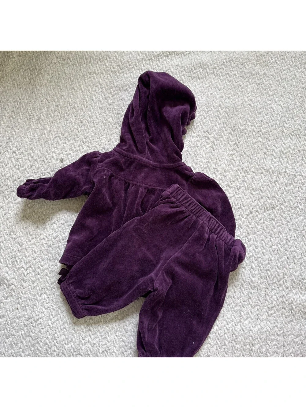 Gymboree 2013 Squirrel Cutie velour zip hooded jacket pants set 0-3M